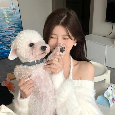 清潭归来 海报
